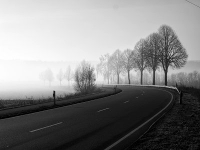 Into the Fog