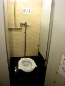 Stand Up Toilet