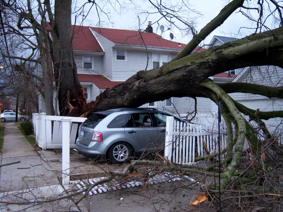 Wind disaster insurance