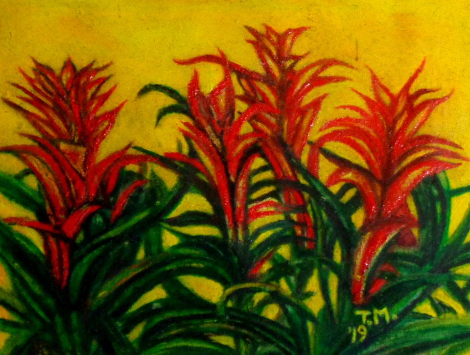 Tropical Plants