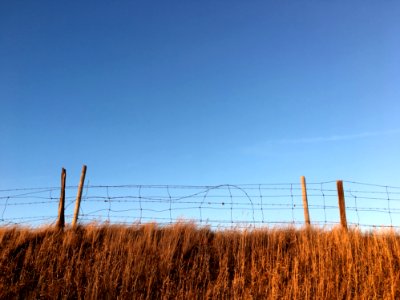 Blue Above