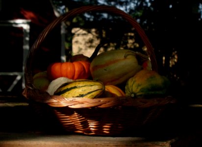 Basket of Gourds
