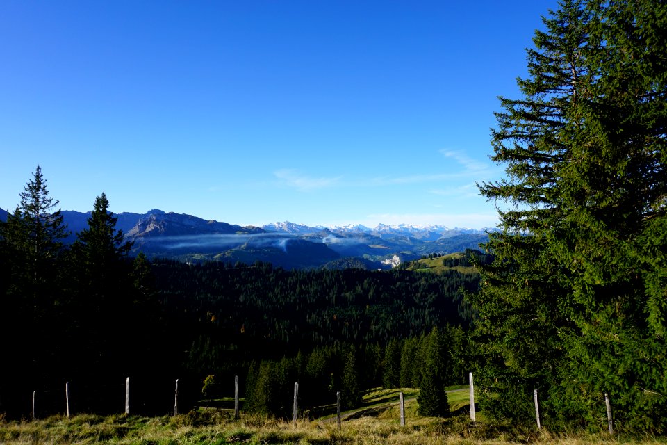zwischen Nüssen und Wildegg (Kanton Schwyz)