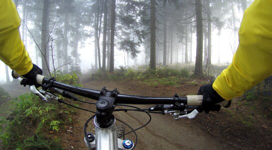 Bicycle exercise forest photo