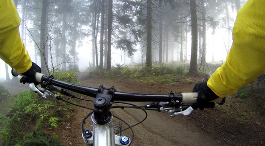 Bicycle exercise forest