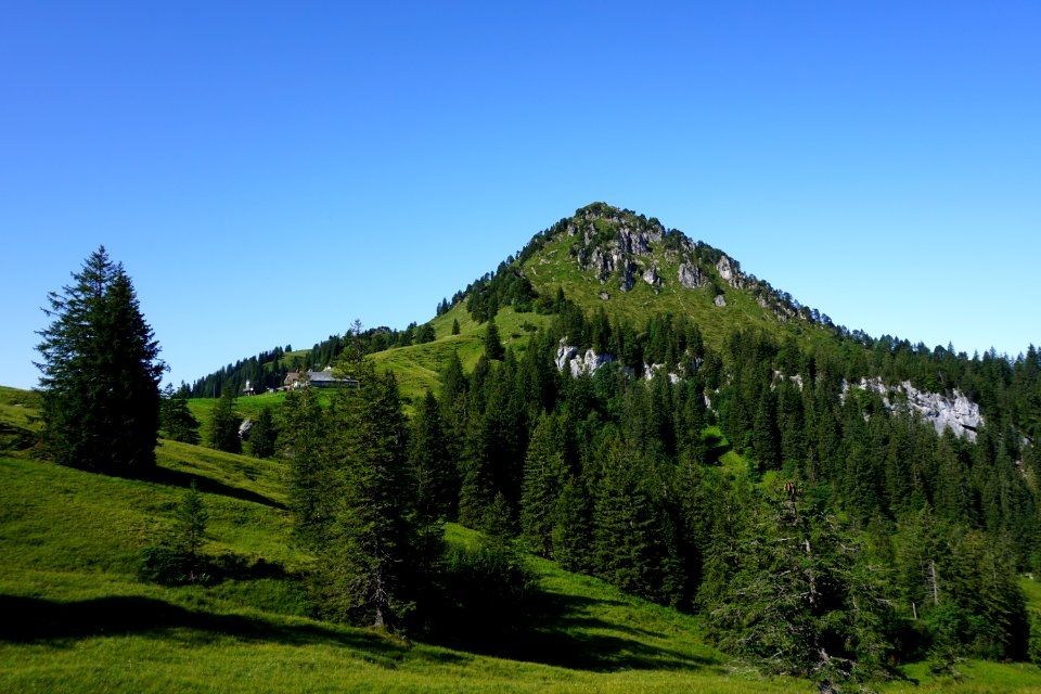 DSC00191