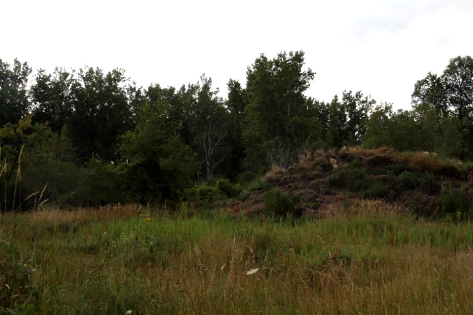 hill of hills