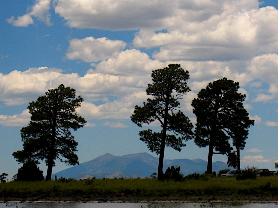 Three Trees and  Big Mountain