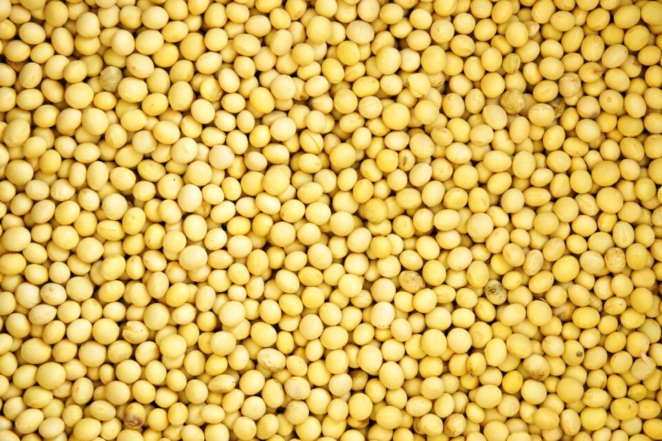 Nature grain farming