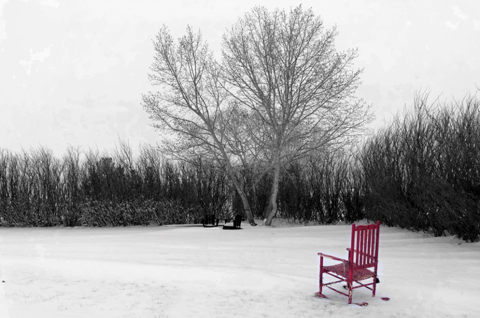 2021/365/103 Red Chair, White Snow, Springtime