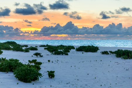 Sunset over North Beach on Sand Island photo