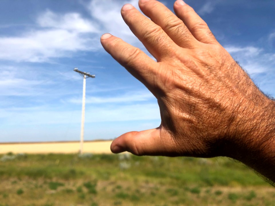 2019/365/233 Reach