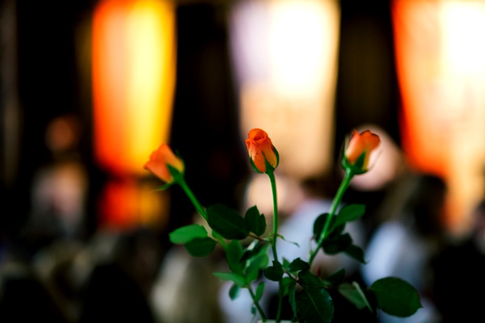 2020-01-26 Bürgerschaftspreis 2019 Wanfried IMG 8916 edit Christoph Braun