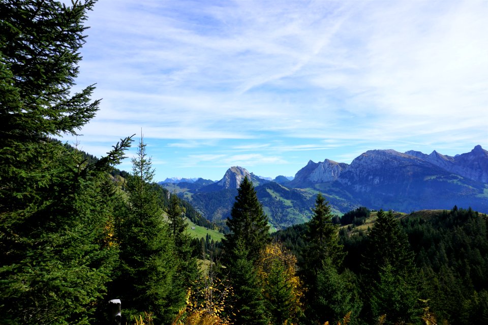 Nähe Gross Aubrig (Kanton Schwyz)