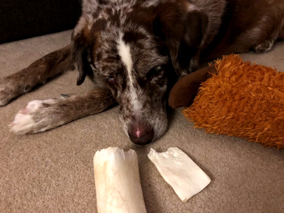 So Many Toys, So Little Time