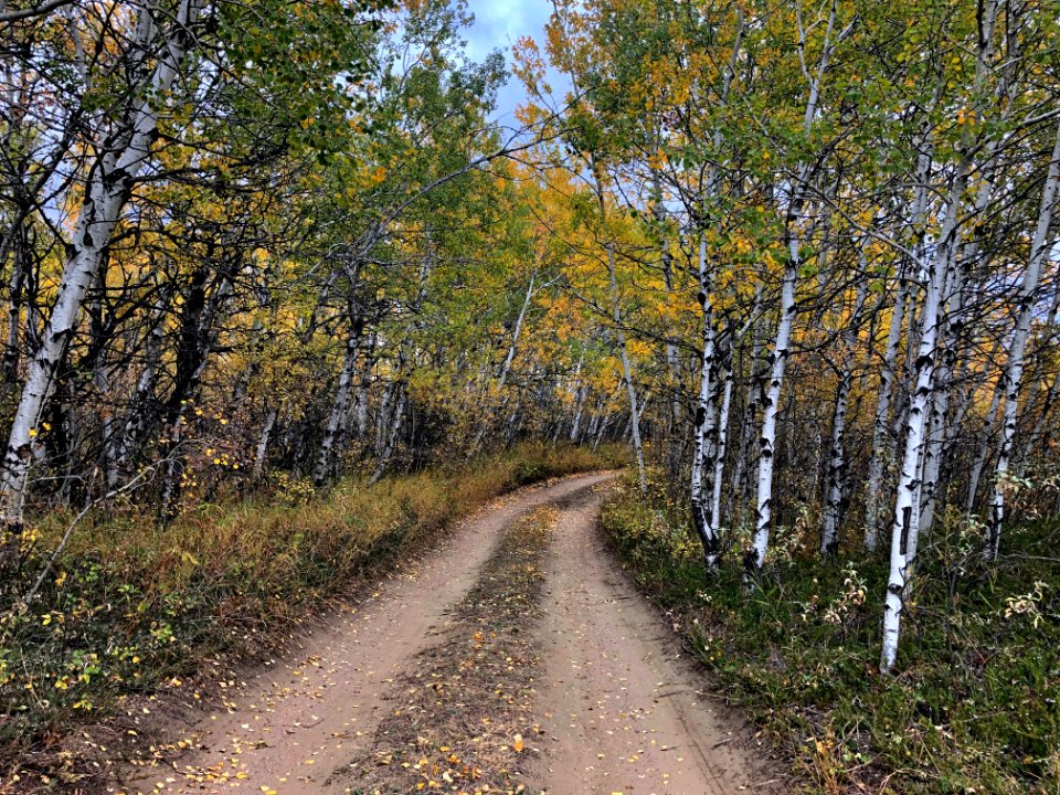 Just Around The Next Bend...