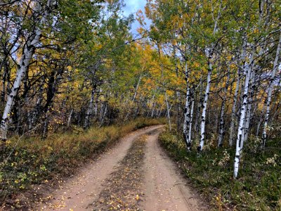 Just Around The Next Bend...