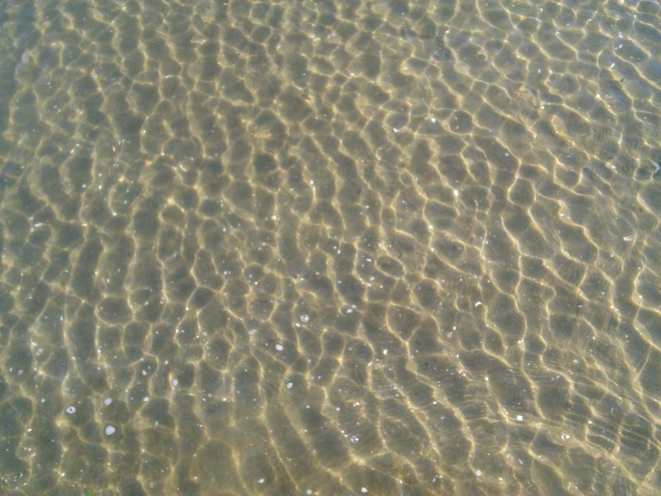 Still water close up