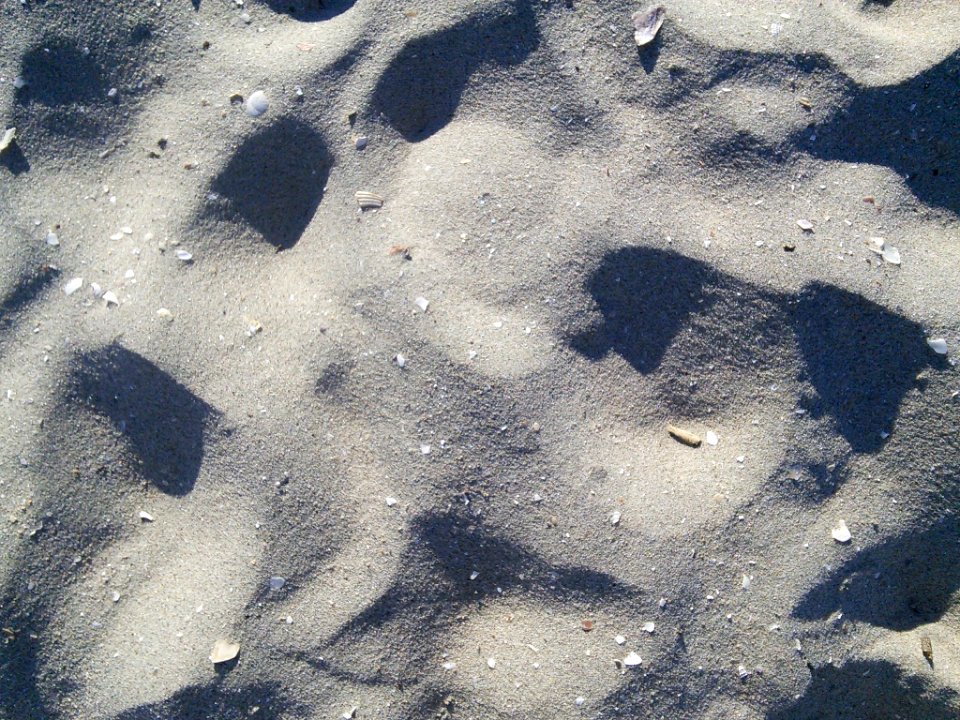 Dry sand close up