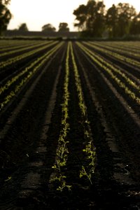 20150415-NRCS-LSC-0786