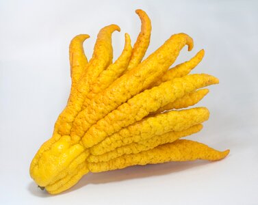 Exotic fruit yellow
