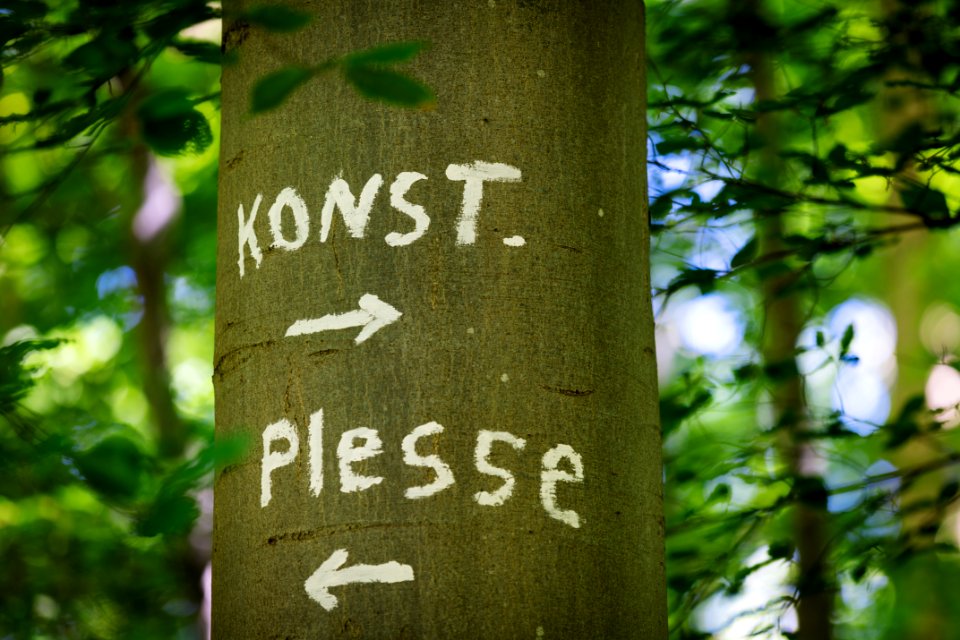 2020-05-21 Vatertag Plesse Konstein IMG 9633 edit Christoph Braun