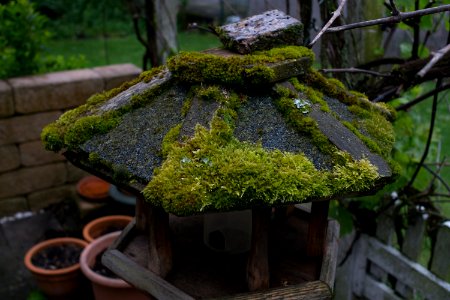 Pentax28mm3f5 F=5,6 an Sony A6000 futterhaus