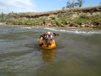 I Can Swim! photo