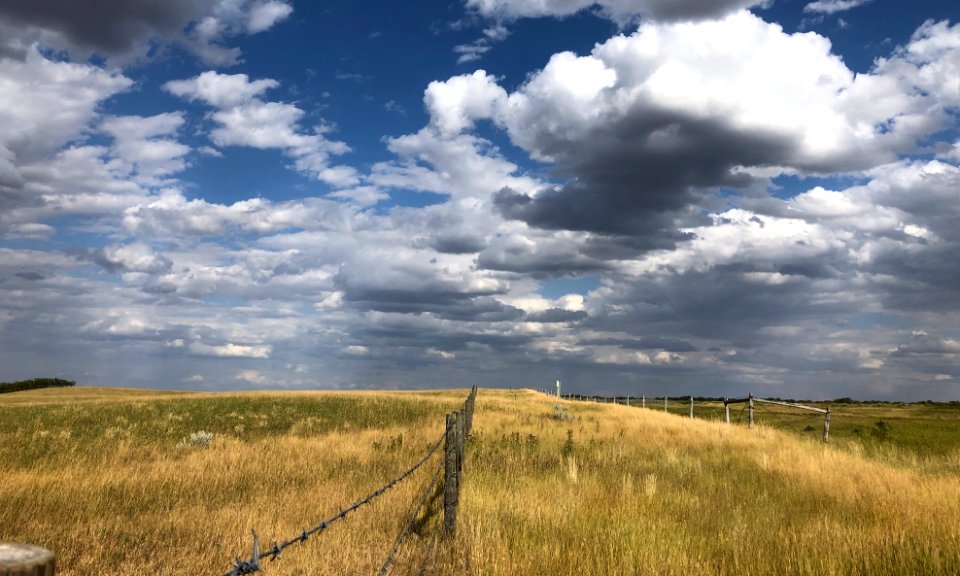2020/365/227 Just Wander