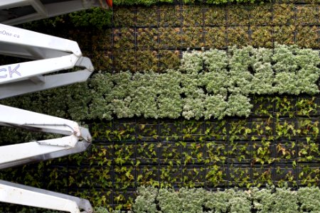 Green Grid