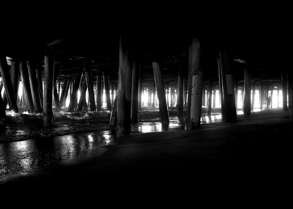 Santa cruz sea america