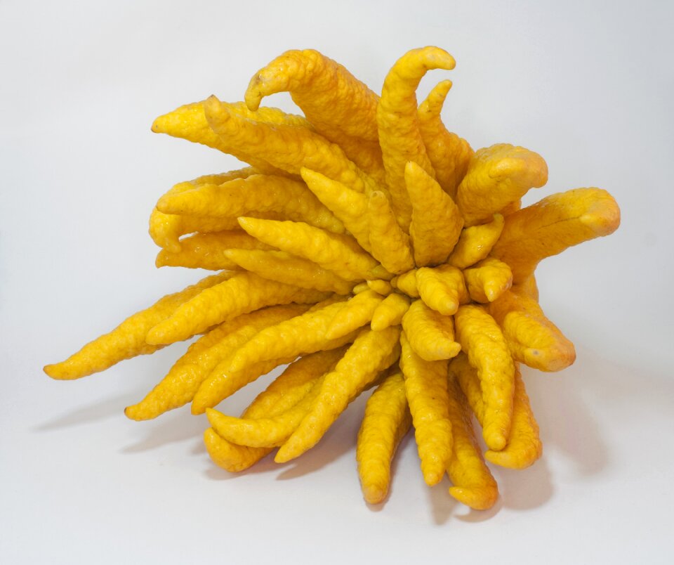 Exotic fruit yellow