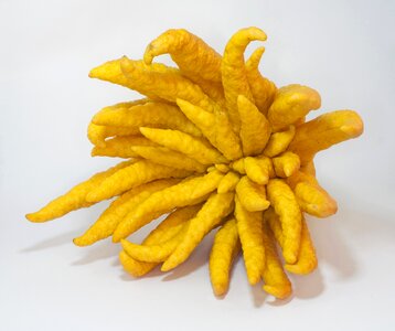 Exotic fruit yellow