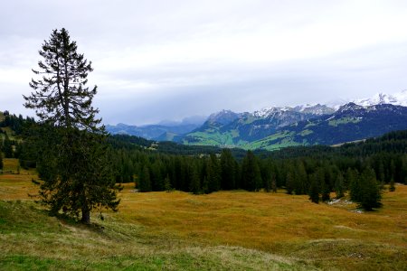 Halbegg (Kanton Schwyz) photo