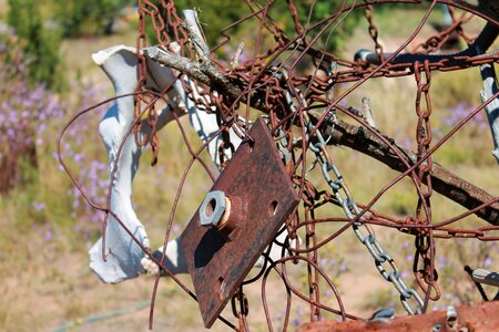 Yard art bone desert photo