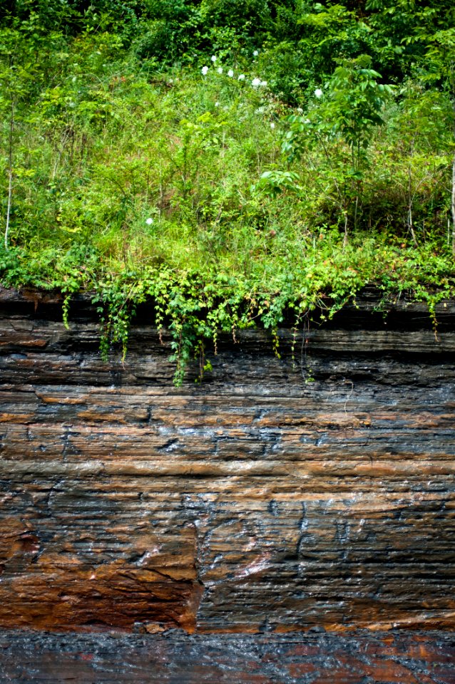 20110712-RD-LSC-0189