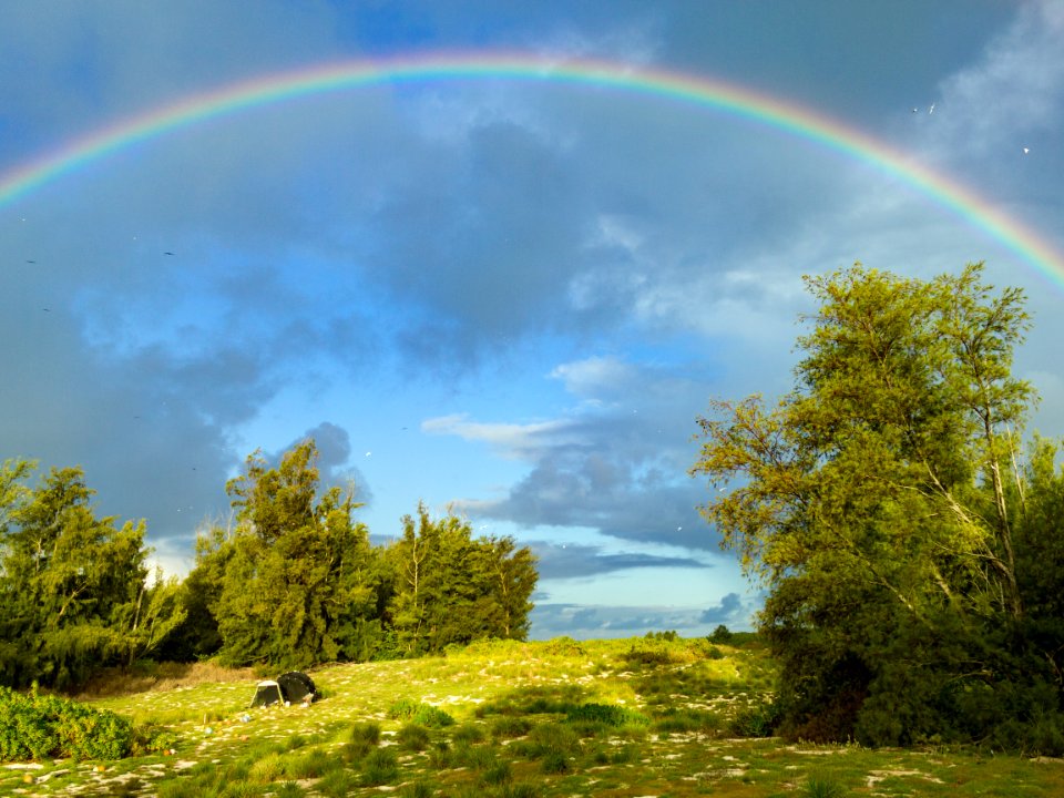 A rainbow hangs over the Midway aviary on the morning of the 2014 Laysan duck translocation to Kure Atoll
