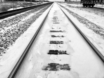 2020/36616 Snowy Tracks photo