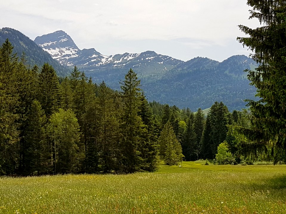 Speer (Kanton St. Gallen)
