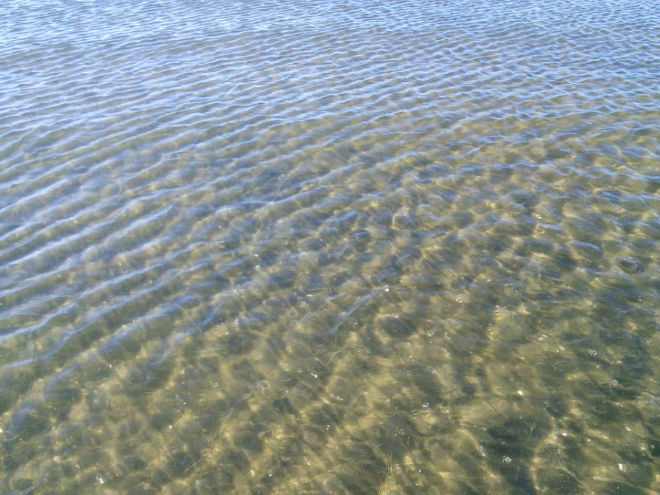 Water ripples close up
