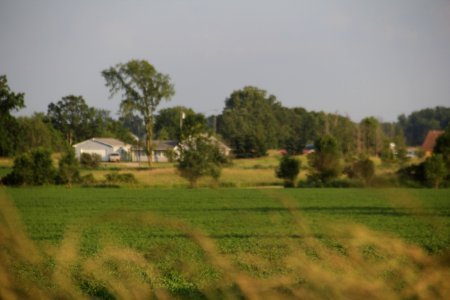 IMG 8501