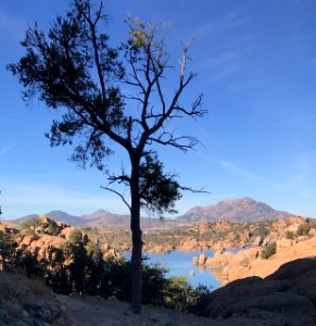 Watson Lake sentinel