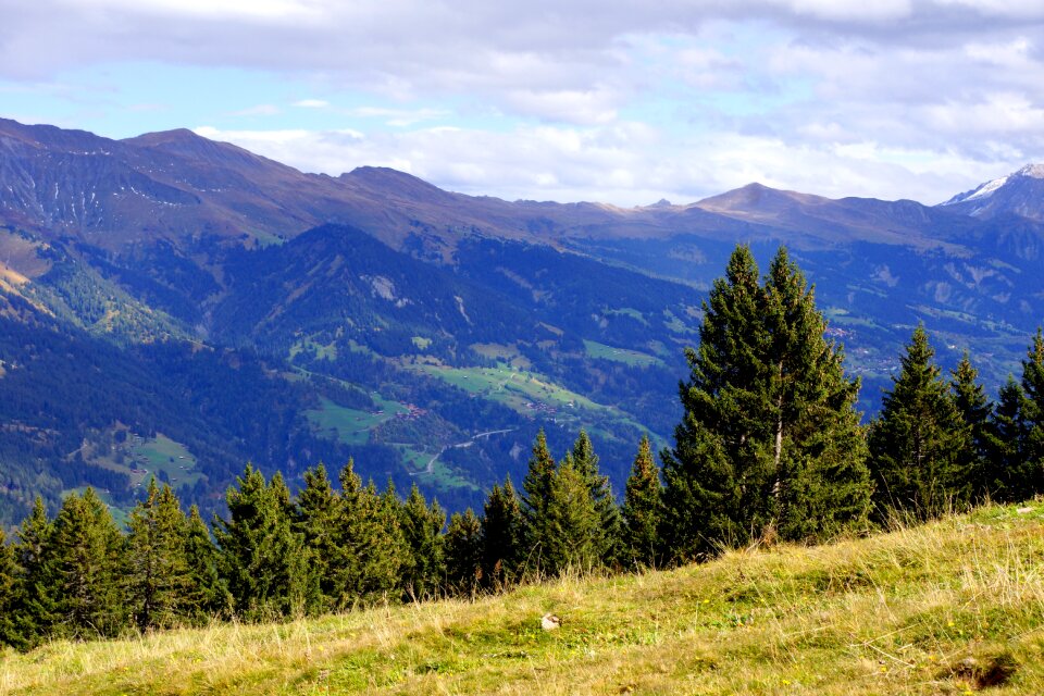 Highlands range meadow