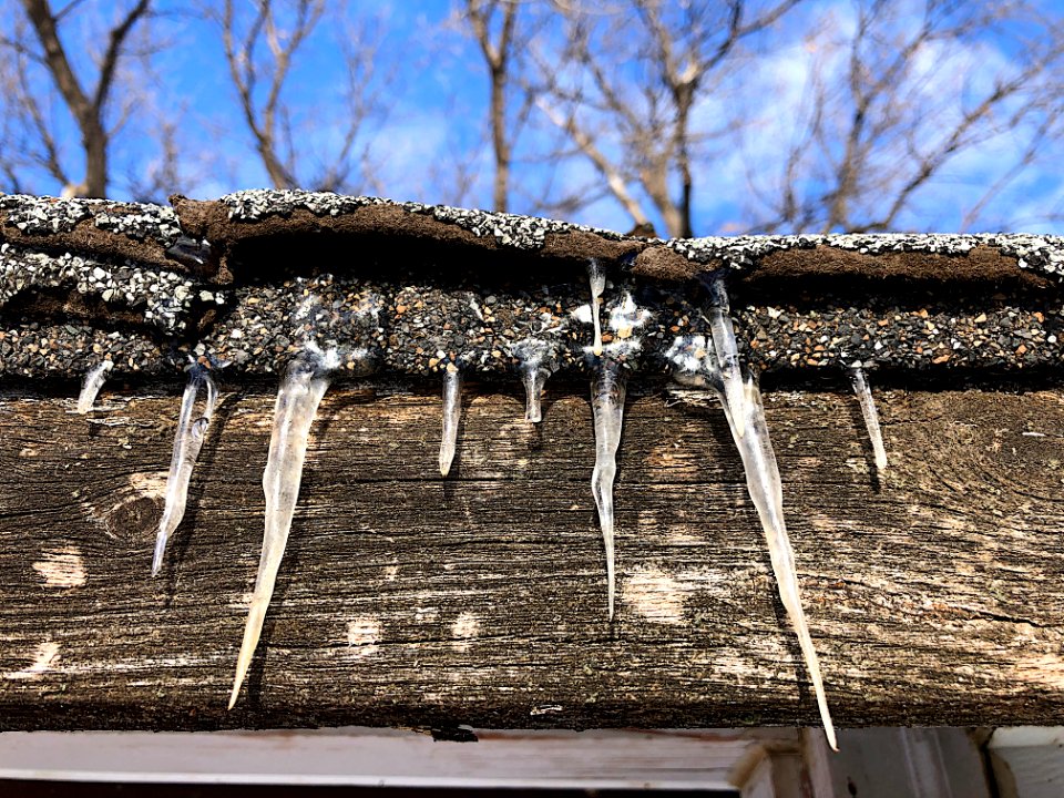 Under the Frozen Daggers