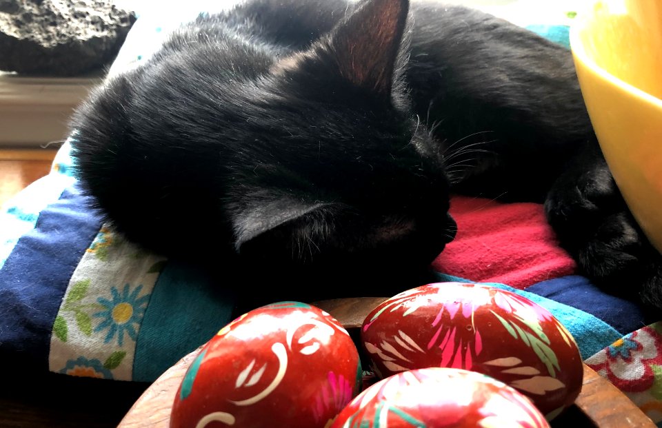 After My Last Nap, I Need a Nap
