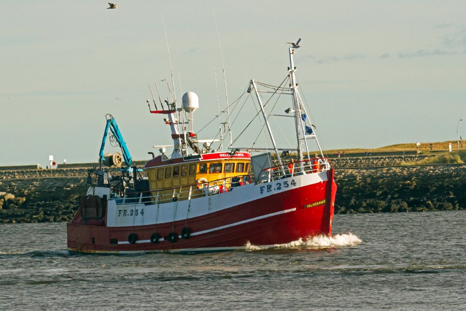 Fishing river tyne north shields