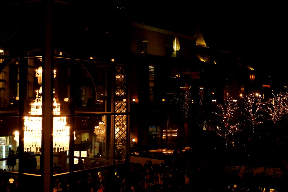 Yebisu garden place at Christmas