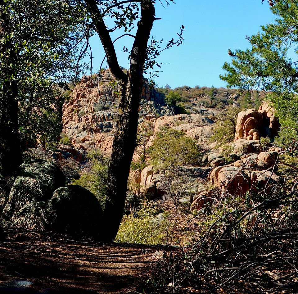 Storm Trail’s terrain