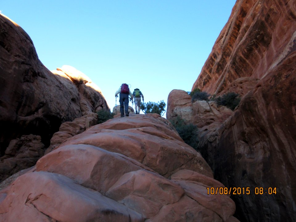 I guess we go up the trail