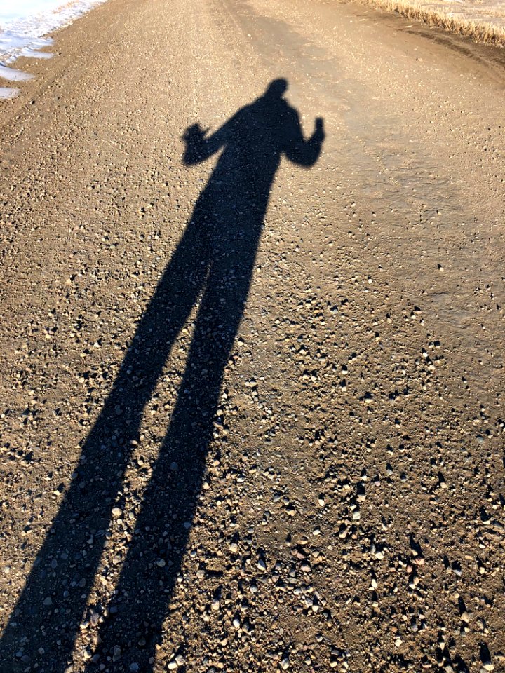 Shadow Longing
